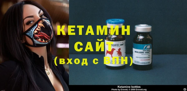 шишки Богородицк