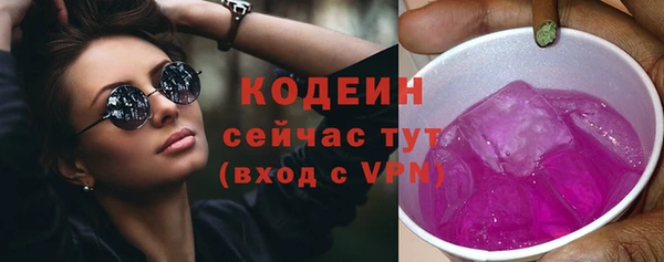 шишки Богородицк