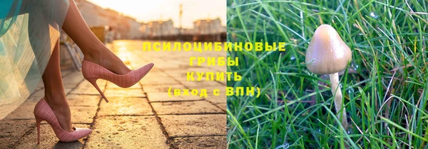 шишки Богородицк