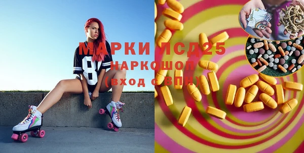 шишки Богородицк