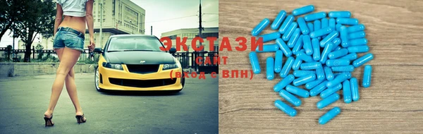 шишки Богородицк