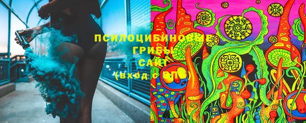 Альфа ПВП Богданович